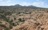 Garden of the Gods view