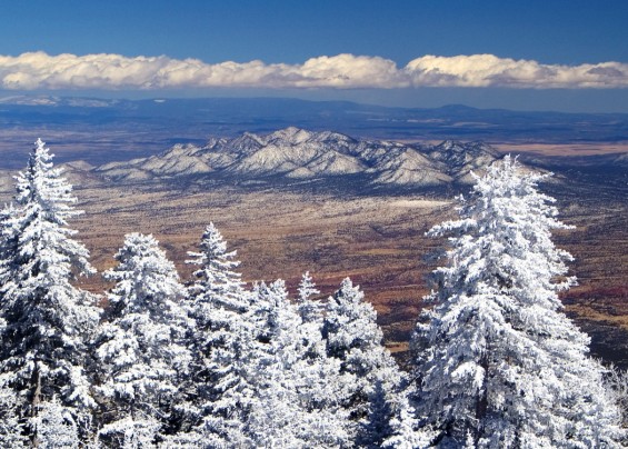 Snowy View From Sandia Crest